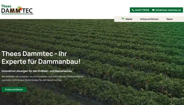 eMotivo GmbH - Referenz Thees Dammtec