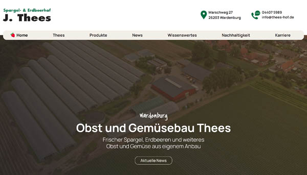 eMotivo GmbH - Referenz Thees Dammtec